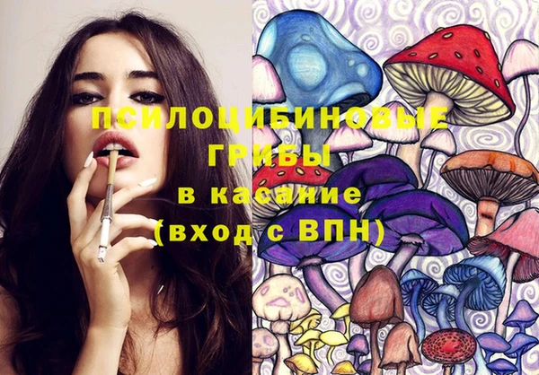 PSILOCYBIN Бронницы