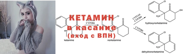 PSILOCYBIN Бронницы